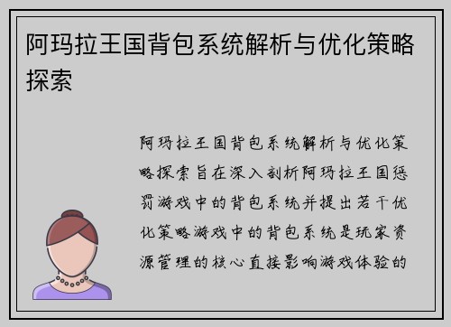 阿玛拉王国背包系统解析与优化策略探索
